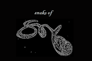 ISnake of Sry Logo