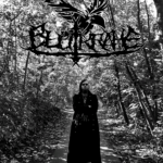 Startseite Bild 2 Blutkrähe Wald