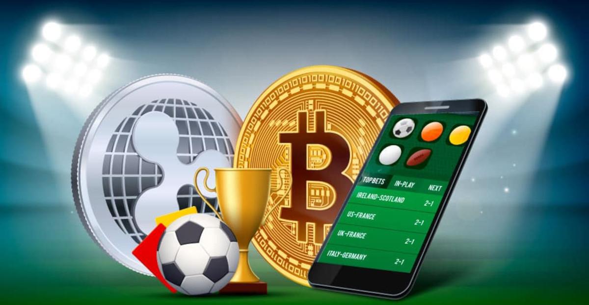 Comprehensive Insights into Casino Review Aggregators Comprehensive Insights into Casino Review Aggregators