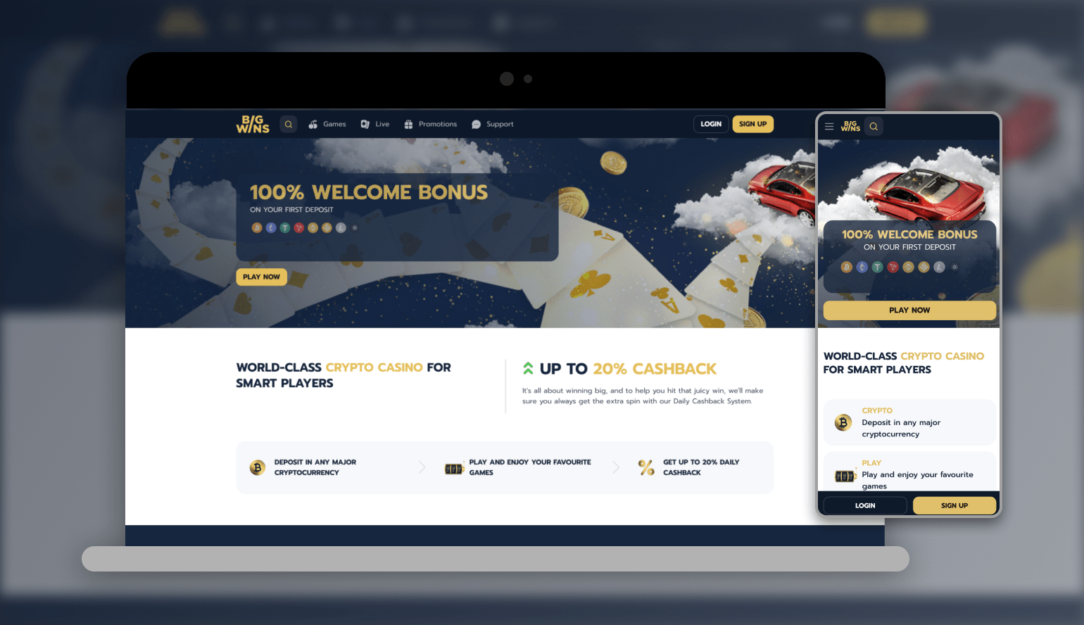 Bigwins Gambling Enterprise Review
